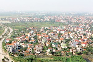 Về quê... buôn đất!
